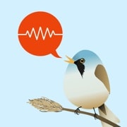 ChirpOMatic App-Icon, ein kleiner Vogel neben einer Sprechblase mit Tonwelle
