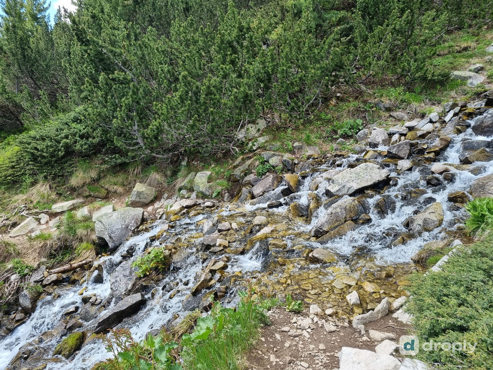 Ein Bergbach fliesst über Granitblöcke durch einen Nadelwald neben einem Wanderweg