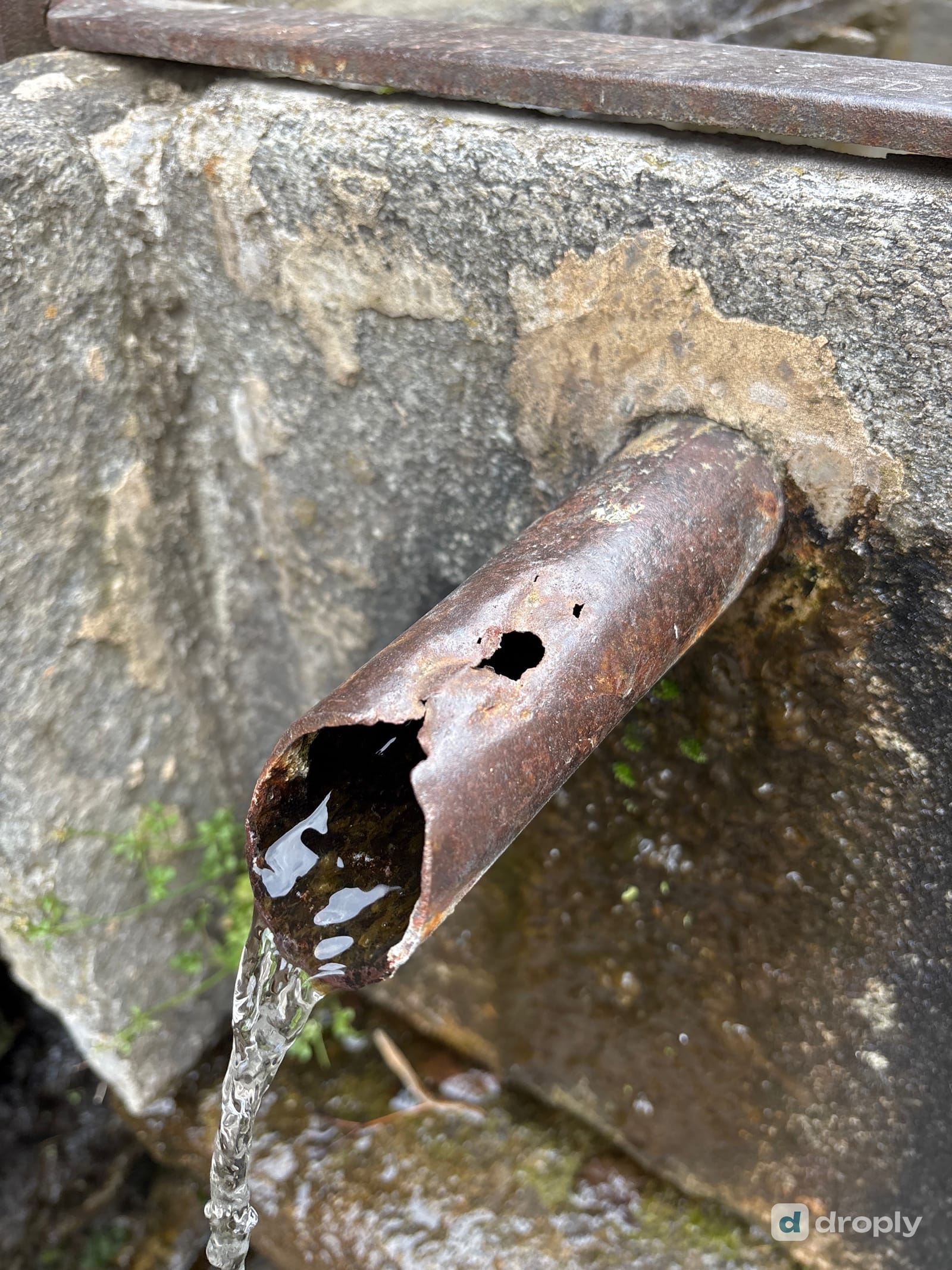 Corroded iron outlet pipe of a tapped spring near Geimen above Brig in Valais, water trickling out, with rust-brown mineral deposits staining the stone