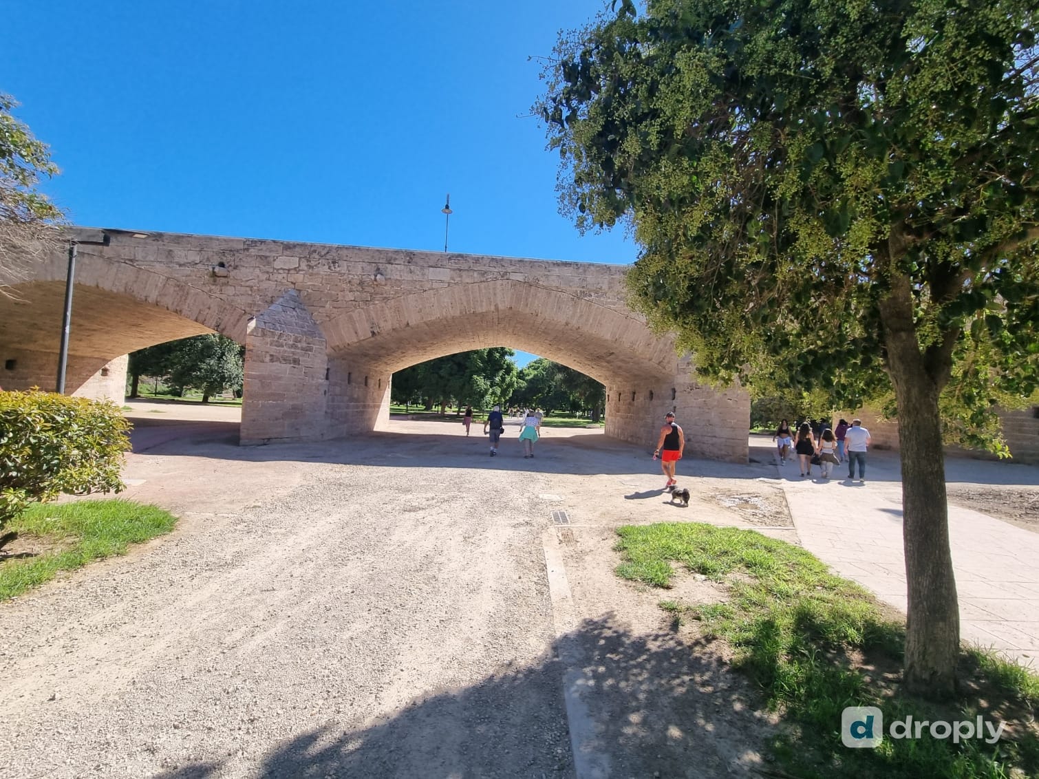 Der Turia-Park in Valencia, das ehemalige Flussbett, mit einer alten Steinbrücke, Bäumen und Menschen, die auf dem Kiesweg spazieren, joggen und einen Hund ausführen