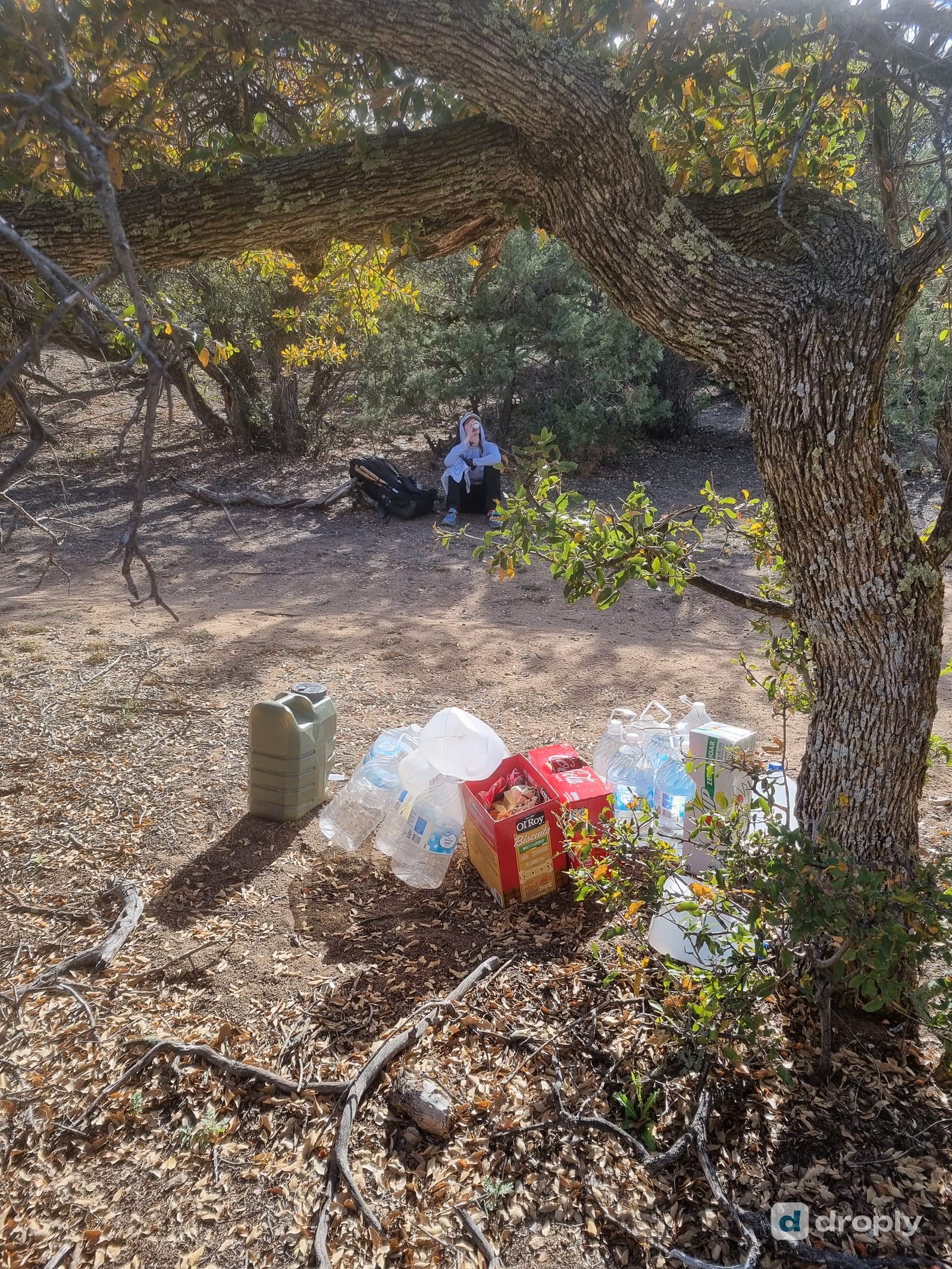 A trail angel water cache under a tree on the CDT in New Mexico, with jugs, snack boxes and soft drinks left for hikers
