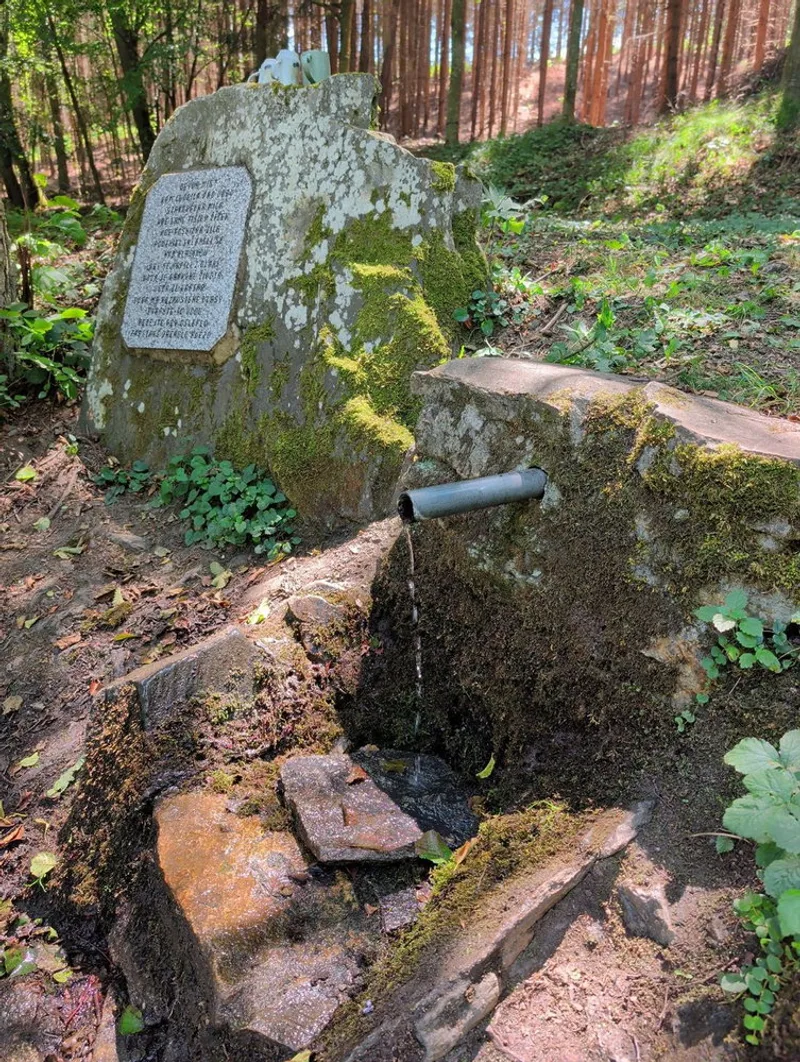 This piped spring sits right on the shore of the Vranov reservoir, running steady, easy to fill before you keep walking.