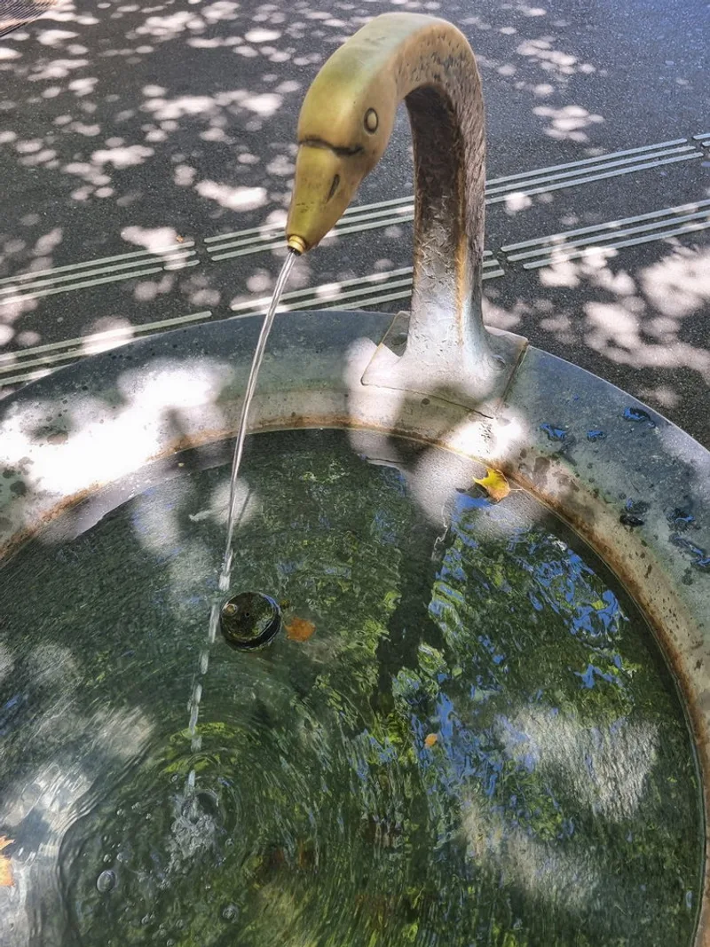 A brass swan-head spout feeding a round stone basin, dappled light coming through the trees above it.