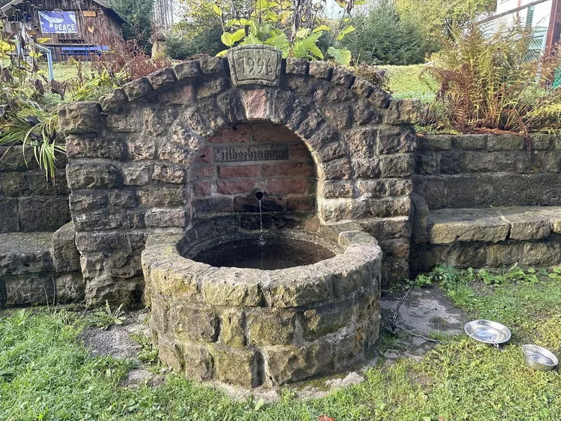 Spring water coming straight out of the forest floor, cold and steady, and free for your bottle.